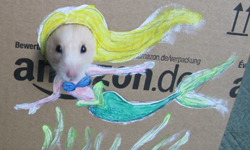 賣笑不賣身！小倉鼠的一秒變裝秀 動物、倉鼠、變裝、cosplay、哈姆太郎