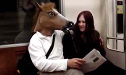 壓力太大嗎？戴上馬頭面具盡情胡鬧吧！ 馬頭、動物面具、扮裝、惡搞