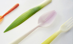 又要騙我眼睛！是蔬菜做成的餐具還是餐具做成蔬菜？       Qiyun Deng、Graft、藝術