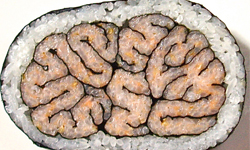 剖面分屍你也吃得下？人體切片系捲壽司 剖面、分屍、人體、器官、切片