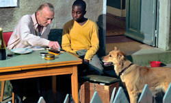 法國電影：港口小鎮裡的動人故事《溫心港灣》 溫心港灣、世界電影、法國、Aki Kaurismaki、勒阿弗爾