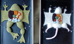 好俏皮的開膛破肚！黏糊又好抱的針織解剖世界 開膛破肚、黏糊、詭異、恐怖、俏皮