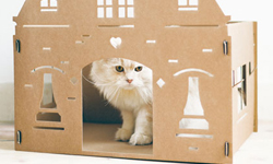貓咪也住透天厝！升級版豪華紙箱屋 貓咪、紙箱、透天厝、KEK Amsterdam