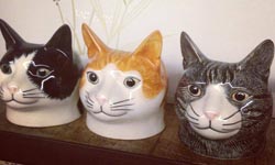 貓奴絕不能錯過？動物園般的香港童話小店《Mushroom》 Mushroom、香港、貓咪、貓奴