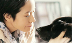 梁詠琪執導、林嘉欣主演 溫馨寵物微電影《被遺棄的》 溫馨、寵物、微電影、被遺棄的、梁詠琪、林嘉欣、主演