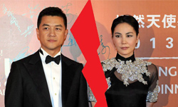 我們都是一家人　王菲李亞鵬剪不斷理還亂關係樹狀圖 王菲、李亞鵬、竇唯、八卦、樹枝圖