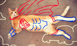 幫貓咪打造情境吧！塗塗畫畫貓萌照 貓、插畫