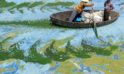 你絕對會不敢相信自己的眼睛！像畫一般的攝影照片 攝影、畫、藝術