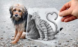 讓鉛筆進入你的生活吧！鉛筆畫拼貼照片 鉛筆、畫、照片、藝術