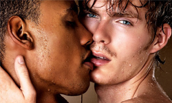 同性愛科學研究：么子有較大機率是男同志？ 同性愛、科學、研究、么子、同性