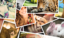 09/17免費與特價App特輯       限時免費、iPhone、Windows Phone