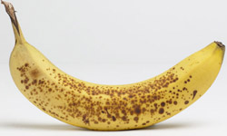 老是出現黑點點？延長賞味期限的香蕉保鮮法 香蕉、食物保鮮、水果