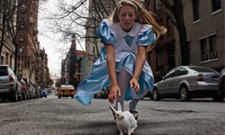 路上的破洞給他用力踩下去　路坑變創意城市好美麗 Pothole Project、Claudia Ficca、Davide Luciano、加拿大、藝術