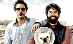 9月28日 電視看甚麼：小勞勃道尼在《臨門湊一腳》衰得有剩！ 鞋貓劍客、魔境夢遊、電視看甚麼、放電紐約、臨門湊一腳