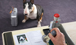 動物身分一覽無遺  寵物護照大公開！    寵物趣聞、 毛孩、護照、寵物、動物