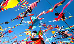 文青就是腳勤：一起去北海岸放風箏吧！ Camouflage、偽裝、 2013臺灣國際豬腳節、北海岸國際風箏節、氣體研究室