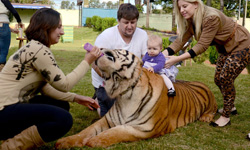 愛老虎油！愛虎成痴的巴西家庭    寵物趣聞、 動物、寵物、老虎