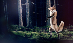動物到底怎麼叫？挪威兄弟拍MV來教你！What does the fox say? A&F、Ylvis、The Fox、搞笑、MV
