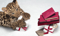 牠們不是來亂入的喔！一線大牌愛用的時尚動物們 名牌、廣告、HERMÈS、Cartier、Bvlgari