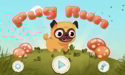 為生命奔跑吧！跑跑巴哥 《Pug Run》 Free App、app、ios、手機、遊戲、巴哥、可愛、免費、APP、iOS、iphone、iTunes、Apple、iPad、
