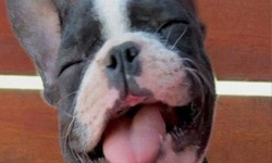 被壓得喘不過氣了嗎？幫助女孩更快樂的十種科學方法 幫助、女孩、更快樂、十種、科學方法