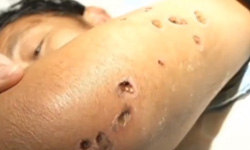 大黃蜂進擊中國！恐怖的黃蜂殺人真相 黃蜂、昆蟲、中國、胡蜂