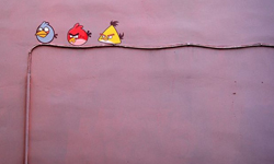 憤怒鳥停在電線杆上？天馬行空的腦補街頭藝術 天馬行空、街頭藝術、作品輯、日常、創意