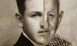 青春小鳥飛過去  歲月的痕跡兩秒現形記 攝影、老、Jan Langer、Faces of Century、歲月的痕跡