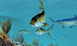 叫我釣魚王！跟著Fishing Kings捕大魚去 Fishing Kings Free+、App、遊戲、釣魚