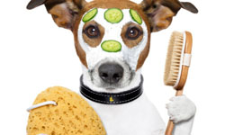 別跟我說你不知道！肌膚保養的8個基本常識 保養、tips、基本、基礎、常識