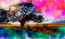 10/17免費與特價App特輯 限免、免費、特價、iPhone、Windows Phone