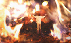 天才攝影師的奇想世界 宛如《拇指公主》的童話感攝影集 Fiddle Oak、14、天才攝影師、拇指公主、童話、攝影、藝術