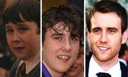 只要有心人人都可以是帥哥　哈利波特裡的奈威終極進化論 哈利波特、帥哥、青春期、轉變、奈威隆巴頓