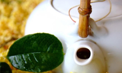 文青就是腳勤：南港飄傳桂花香 城市樂狂熱、南港桂花季、THE X-MAN、鈴木玄太琉璃藝術展、OVO蟲林森巴