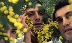 廣告界的配樂寵兒！法式電幻物語Télépopmusik Télépopmusik、法國、電子、Breathe