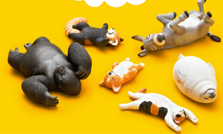 黑夜降臨動物睡翻天  萌樣大爆發的愛睏動物園開張！       動物園、愛睏、睡覺、睡相、萌