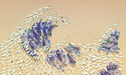 花裡隱藏的美麗世界  Fong Qi Wei的花瓣拼貼藝術 Fong Qi Wei、花瓣、拼貼、藝術、攝影