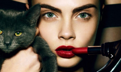 有貓這一生就夠了！搶了主角風采的時尚貓咪照 貓咪、貓奴、名模、Cara Delevingne、時尚、prada