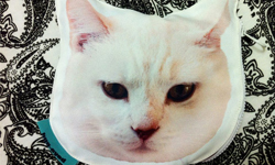 妞活動：《Bug-eyed》讀者專屬抽獎活動 妞活動、Bug-eyed