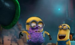 小小兵又突變了！拯救小貓大作戰之《收發室驚魂記》    小小兵、Minions、神偷奶爸、動畫、Despicable Me