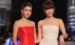 誰是金鐘紅毯最威男女星？粉絲尖叫指數殘酷排行榜 金鐘、紅毯、陳柏霖、劉以豪、隋棠