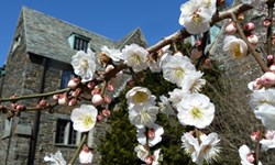 自導自演專屬你的冬季戀歌  冬季限定情侶約會指南 冬季、情侶、賞花、冰淇淋、巧克力、溫泉、火鍋