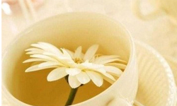 想瘦身單靠喝茶能「油切」？針對年齡、喝對茶種才見效 iBeauty、茶、新陳代謝、油切、兒茶素