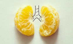 神來一筆就成了故事　筆記本上的日常插畫 筆記、插畫、Javier Perez、藝術、巴黎鐵塔