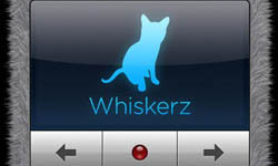 把人語變貓語？讓貓咪聽懂你的人貓交流器    Human-to-Cat Translato、人猫交流器、貓咪