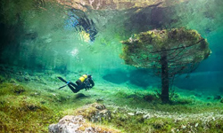 來去湖底公園散步！如夢境般的奧地利綠湖 奧地利、綠湖、喀斯特山、攝影、 Marc Henauer