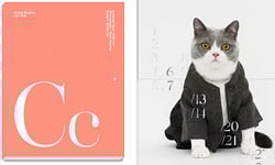 時尚貓咪報到！貓咪的秋冬穿搭守則    時尚、穿搭、貓咪、攝影