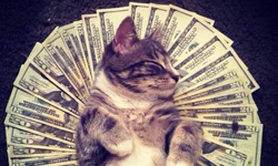 小資女衝衝衝！八個妳不能錯過的省錢妙招 小資女、省錢、秘訣、生活