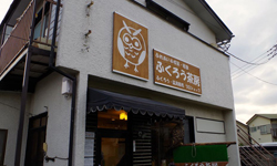 邊喝咖啡邊跟貓頭鷹玩　貓頭鷹主題咖啡廳 貓頭鷹、主題、咖啡廳、猛禽、東京