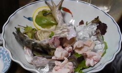 眼睜睜看著自己被吃掉！現剝現殺的生蛙片活跳跳端上桌 青蛙、生食、生魚片、內臟、日本